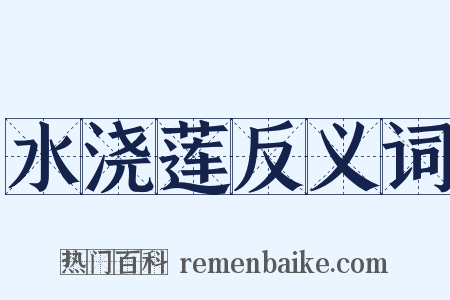 水浇莲反义词是什么意思的图片